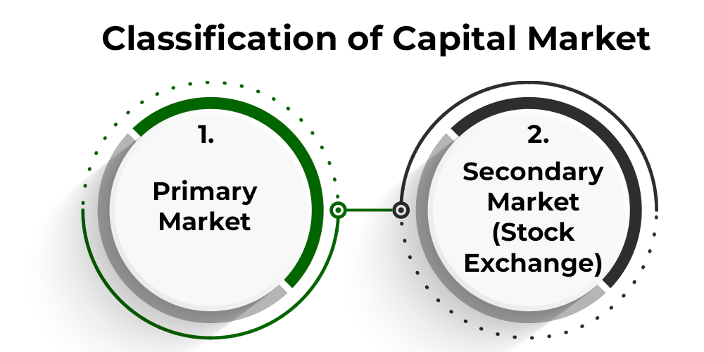 What's the difference between the capital market and the stock market?